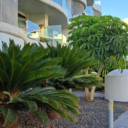 Casa Martin パルム・マール