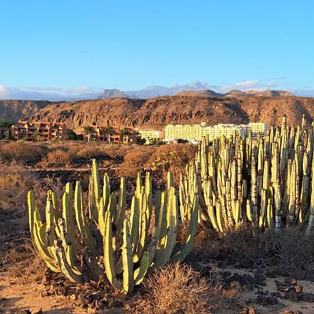 Casa Martin Apartamento *