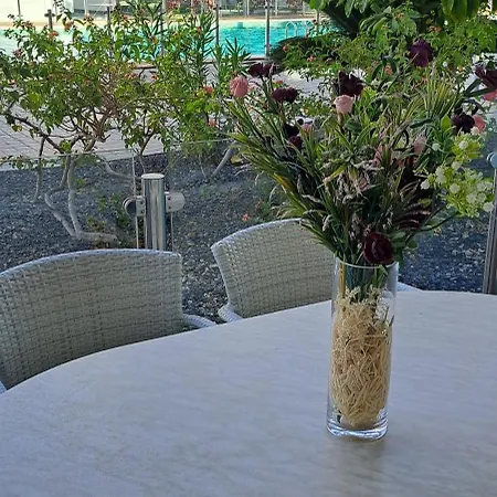 Appartement Casa Martin